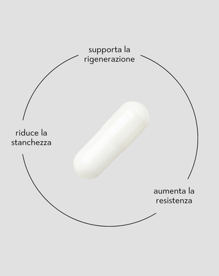 Beta-alanina 700 mg per le prestazioni e la riduzione dell'affaticamento muscolare Nutridome, 60 capsule - 2