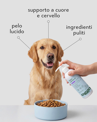 Olio di salmone 100% alimento complementare per cani per immunità ed energia Oggo 250 ml - 3