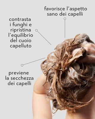 Shampoo antiforfora per capelli con olamina piroctone con azione idratante Nutridome - 4