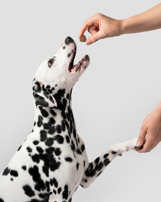 Karma integrativa multivitaminica 8 in 1 Complex per la salute e l'energia del tuo animale Oggo 180 g - 3