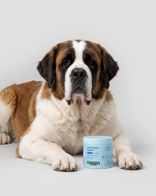 Karma integrativa Joint & Bone Support per cani per articolazioni e ossa Oggo 180 g - 3