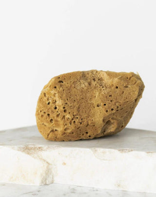 Spugna di mare marrone naturale 9,5 cm 02F ipoallergenica e antibatterica Hhuumm - 2