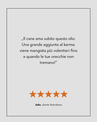 Olio di salmone 100% alimento complementare per cani per immunità ed energia Oggo 250 ml - 4