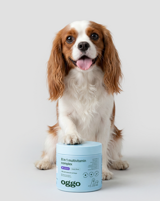 Karma integrativa multivitaminica 8 in 1 Complex per la salute e l'energia del tuo animale Oggo 180 g