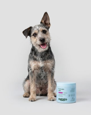 Karma complementare Fur &amp; Skin per cani per un pelo bello e una pelle sana Oggo 180 g