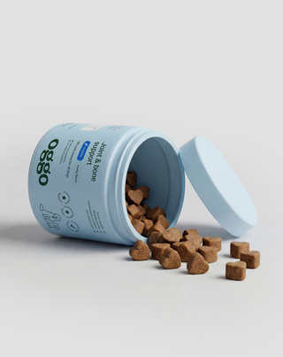 Karma integrativa Joint &amp; Bone Support per cani per articolazioni e ossa Oggo 180 g