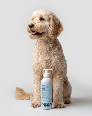 Olio di salmone 100% alimento complementare per cani per immunità ed energia Oggo 250 ml