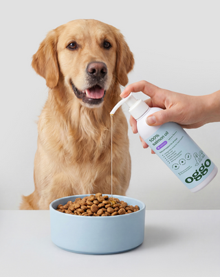 Olio di salmone 100% alimento complementare per cani per immunità ed energia Oggo 250 ml