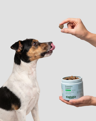 Karma supplementare Probiotici per cani per la digestione, sistema digestivo e immunità Oggo 180 g