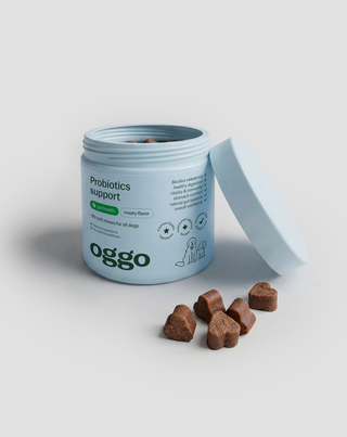 Karma supplementare Probiotici per cani per la digestione, sistema digestivo e immunità Oggo 180 g