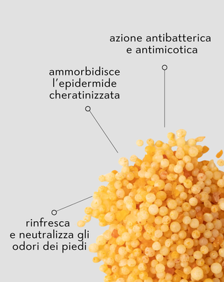 Sale da pediluvio Nutridome con il 45% di urea ed eucalipto - 2